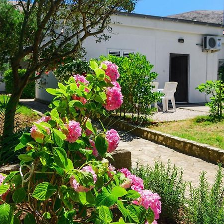 Apartmant Prosika Pag Town Exteriér fotografie